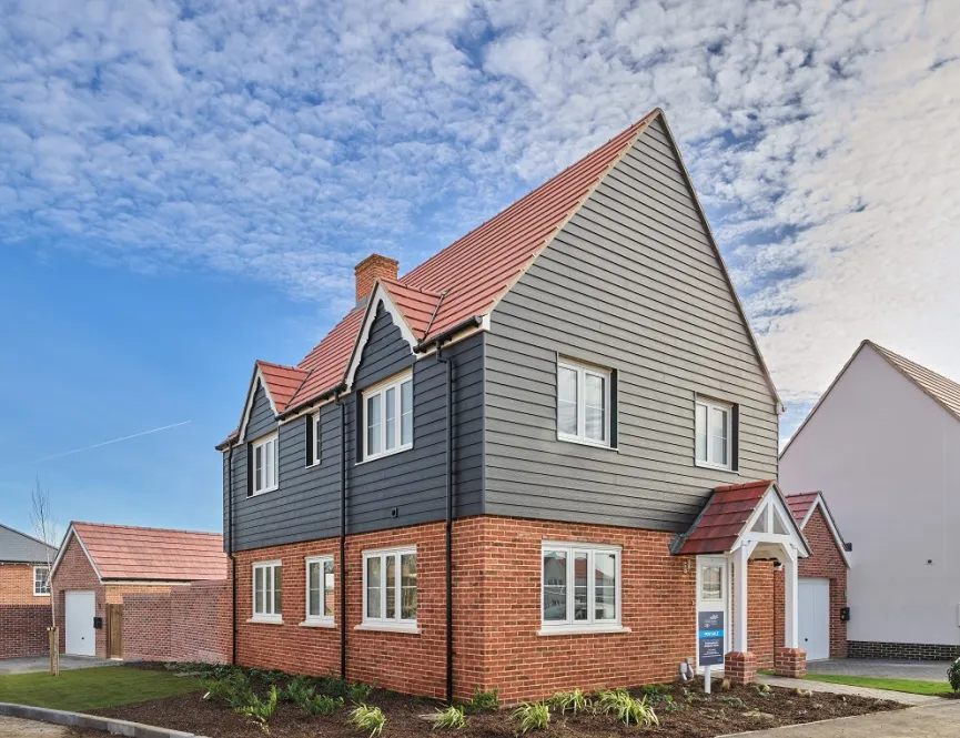 Plot 33 - The Forest